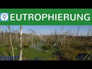 Cover: Eutrophierung - Begriff, Ursachen, Folgen & Lösungen - der kranke See - Ökosysteme 5