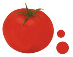 Cover: Kunterbunte Tomatenwelt