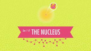 Cover: The Nucleus: Crash Course Chemistry #1