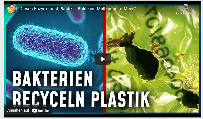 Cover: Dieses Enzym frisst Plastik – Bald kein Müll mehr im Meer? - YouTube
