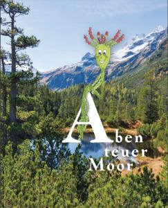 Cover: Abenteuer Moor