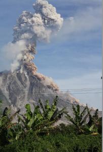 Cover: La Palma | Convivir con el volcán