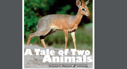 Cover: A Tale of Two Animals | An Indonesian Fable
