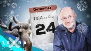 Cover: Warum ist Weihnachten am 24. Dezember? | Harald Lesch