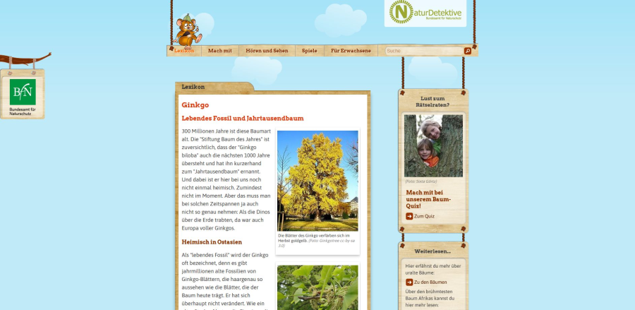 Cover: Naturdetektive für Kinder: Ginkgo - Lebendes Fossil und Jahrtausendbaum