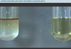 Cover: Untersuchung der Löslichkeit von Wasser, Alkoholen und Öl 