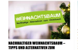 Cover: Nachhaltiger Weihnachtsbaum - 7 Alternativen & Tipps • CareElite