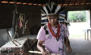 Cover: Lenguas indígenas | un legado en extinción
