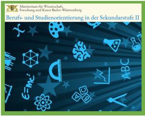 Cover: Berufs- und Studienorientierung in der Sekundarstufe II (in Baden-Württemberg)