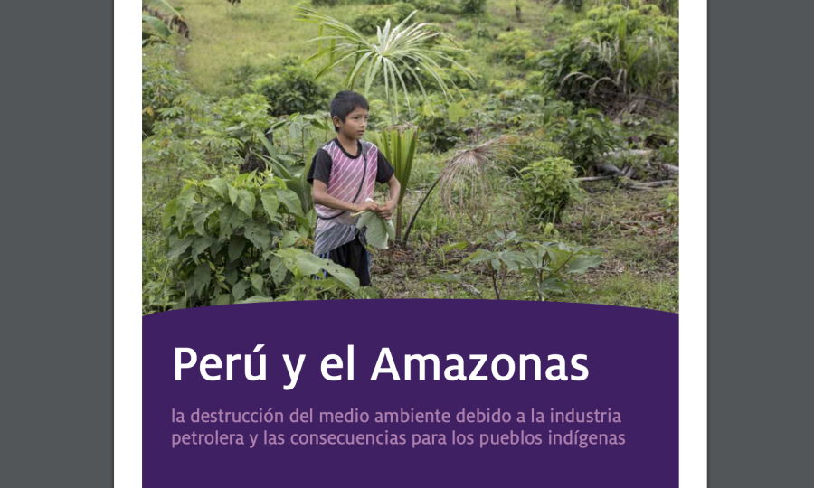 Cover: Perú y el Amazonas | Destrucción del medio ambiente