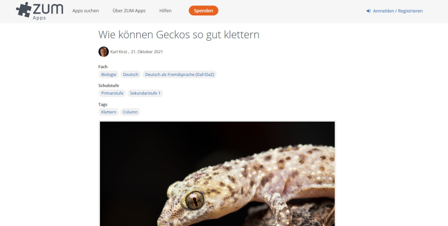 Cover: Wie können Geckos so gut klettern | ZUM-Apps