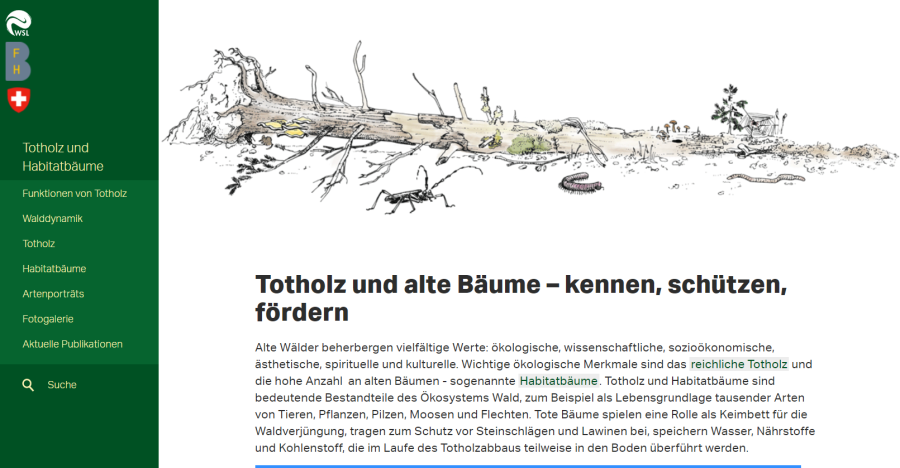 Cover: Internetplattform Totholz und Habitatbäume
