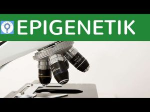 Cover: Epigenetik - Was wird eigentlich vererbt? Das Gedächtnis der Gene einfach erklärt