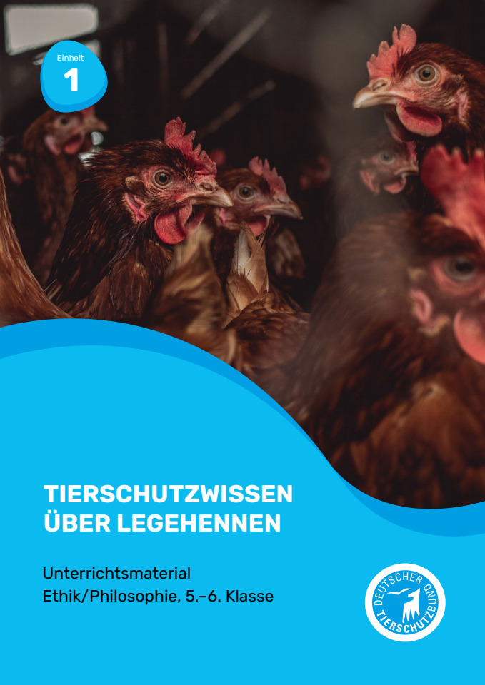 Cover: Tierschutzwissen über Legehennen