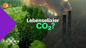 Cover: CO₂: Lebenselixier und Klimakiller | Terra X plus