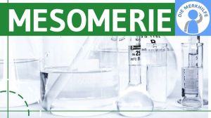 Cover: Mesomerie einfach erklärt - Definition, Regeln & Beispiele Benzol & Anilin - Organische Chemie