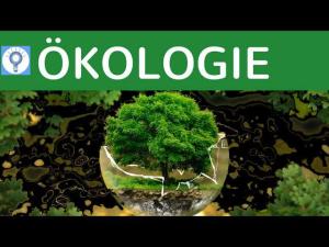 Cover: Was ist Ökologie?! & Grundprinzip der Ökologie | Ökologie