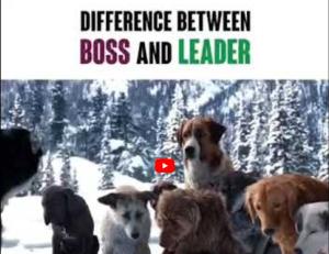 Cover: Difference between Boss and Leader | short video - YouTube