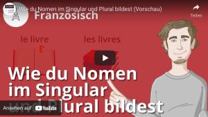 Cover: Singular und Plural von Substantiven problemlos lernen!