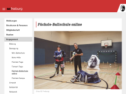 Cover: Füchsle-Ballschule online 