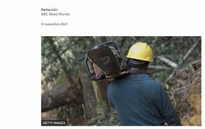 Cover: América Latina | Talar demasiados árboles 
