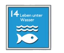 Cover: SDG 14 — Leben unter Wasser