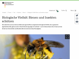 Cover: Biologische Vielfalt: Bienen und Insekten schützen