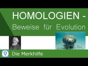Cover: Homologien - Beweise für die Evolution - Ontogenese-Biochemisch & Molekular-Parasiten 