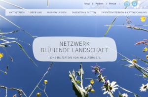 Cover: Netzwerk Blühende Landschaft - aktiv gegen das Artensterben tätig werden