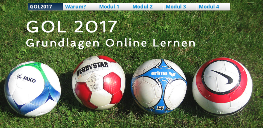 Cover: GOL 2017 - Grundlagen Online Lernen 