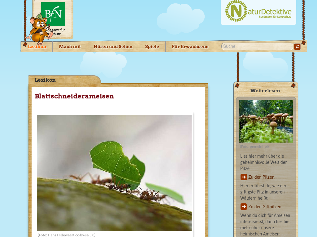 Cover: Naturdetektive für Kinder - www.naturdetektive.de: Blattschneiderameisen