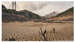 Cover: Día Mundial de Lucha contra la Desertificación y la Sequía