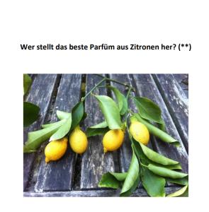 Cover: Egg-Race: Wer stellt das beste Parfüm aus Zitronen her? (**)