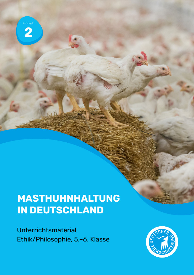 Cover: Masthuhnhaltung in Deutschland