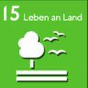 Cover: SDG 15: Leben an Land