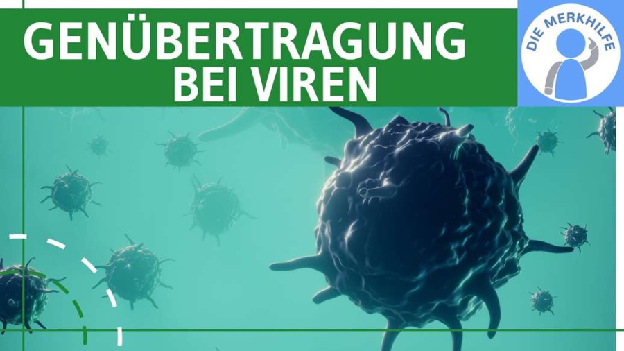 Cover: Genübertragung bei Viren einfach erklärt - Rekombination + Allgemeine & spezielle Transduktion