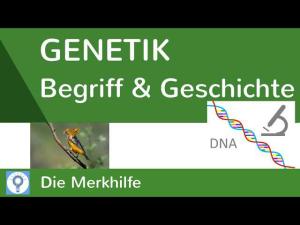 Cover: Was ist Genetik?! & Geschichte der Genetik und Genetik heute | Genetik