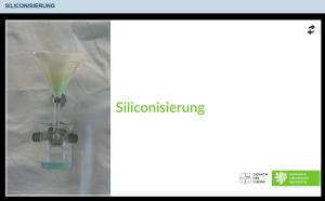 Cover: Siliconisierung 