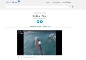 Cover: Lebensräume im Meer - Delfine