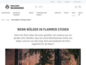 Cover: Wenn Wälder in Flammen stehen 