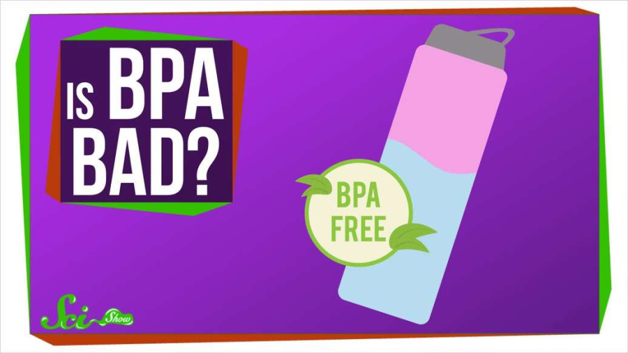 Cover: Should I Be Afraid of BPA?