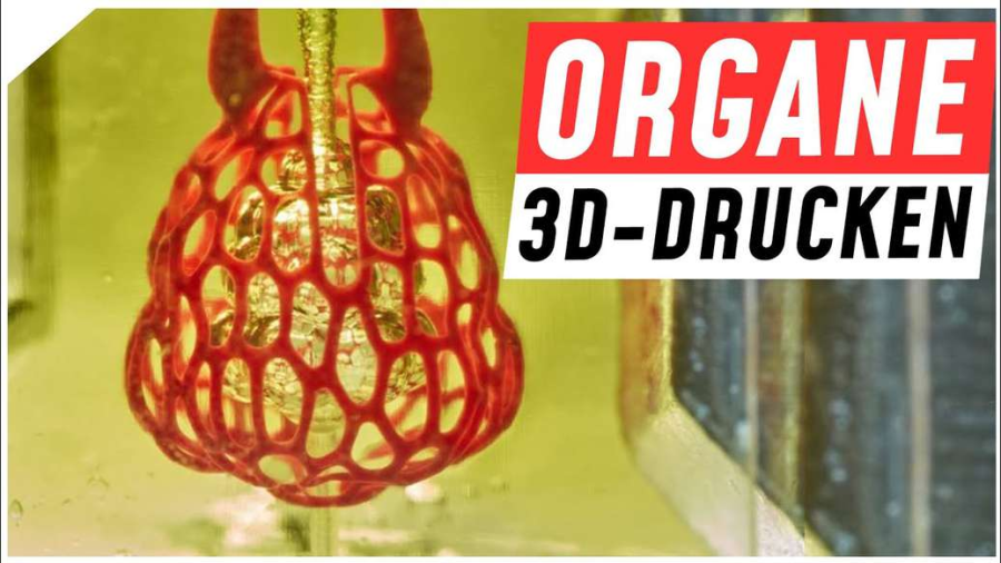Cover: Kann ich mein Herz im 3D-Drucker drucken? | Bio-Printing für Organspenden | Breaking Lab