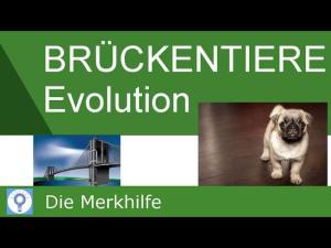 Cover: Brückentiere: 1 Tier = mehrere Tiergruppen?! - Fossile & Rezente Übergangsformen | Evolution 23
