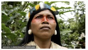 Cover: Defender la Amazonía, es una lucha de todos