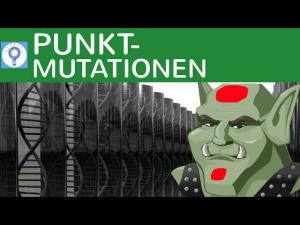 Cover: Punktmutationen: Stumme Mutation, Missense Mutation (Fehlsinn), Nonsense Mutation - 2 | Genetik