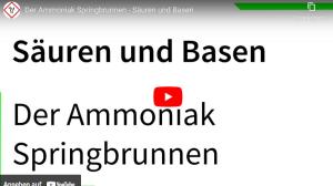 Cover: Der Ammoniak Springbrunnen - Säuren und Basen