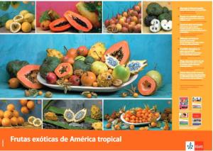 Cover: Frutas exóticas de América tropical