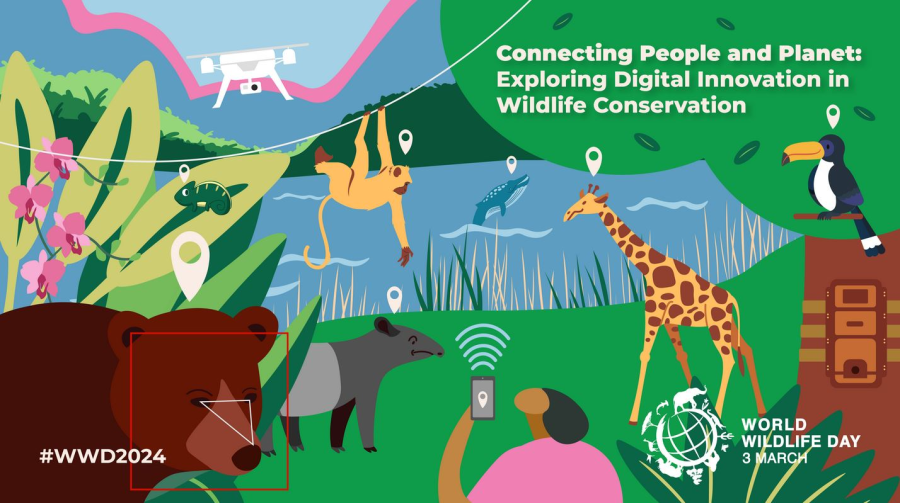Cover: Tag des Artenschutzes | UN World Wildlife Day