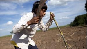 Cover: Kinder in Bolivien kämpfen für Recht auf Arbeit