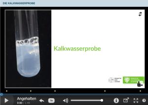Cover: Die Kalkwasserprobe -Chemiedidaktik Wuppertal